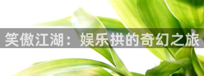 星空娱乐app下载：笑傲江湖：娱乐拱的奇幻之旅