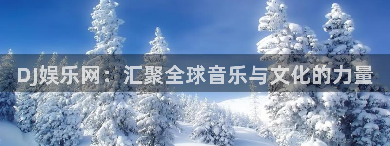 星空娱乐2929：DJ娱乐网：汇聚全球音乐与文化的力量
