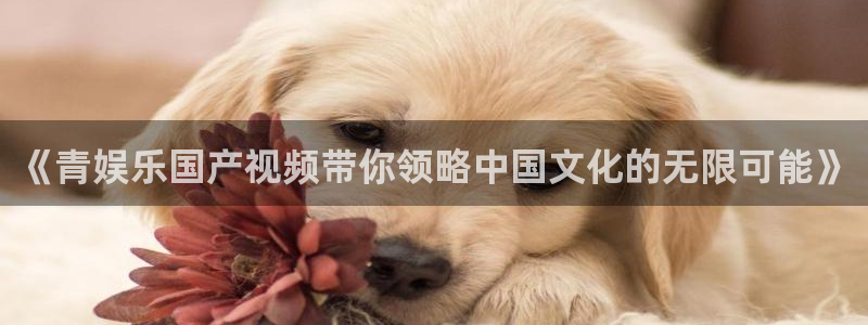 星空娱乐app下载安装：《青娱乐国产视频带你领略中国文化的无限可能》