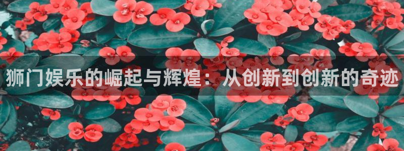 星空娱乐传媒有限公司：狮门娱乐的崛起与辉煌：从创新到创新的奇迹