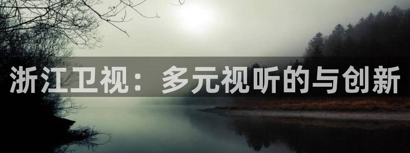 星空娱乐93299：浙江卫视：多元视听的与创新