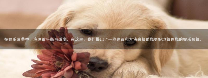 星空娱乐传媒：在娱乐消费中，应注重平衡与适度。在这里，我们提出了一些建议和方法来帮助您更好地管理您的娱乐预算。