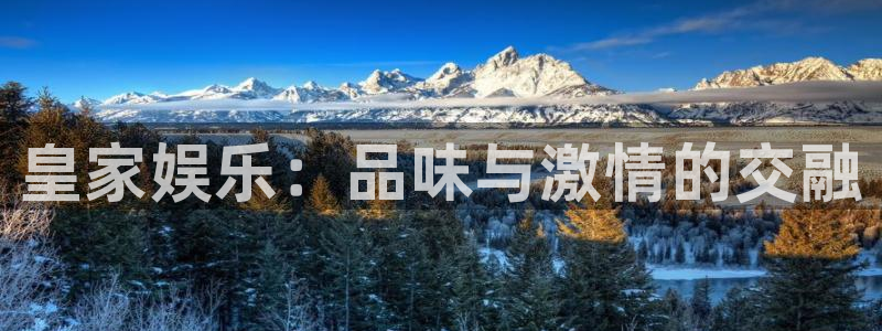 星空娱乐官网：皇家娱乐：品味与激情的交融