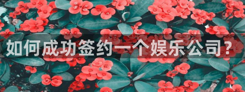星空娱乐下载：如何成功签约一个娱乐公司？