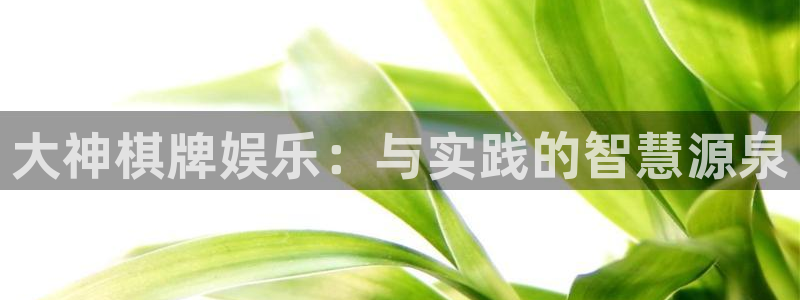 星空娱乐官网版：大神棋牌娱乐：与实践的智慧源泉