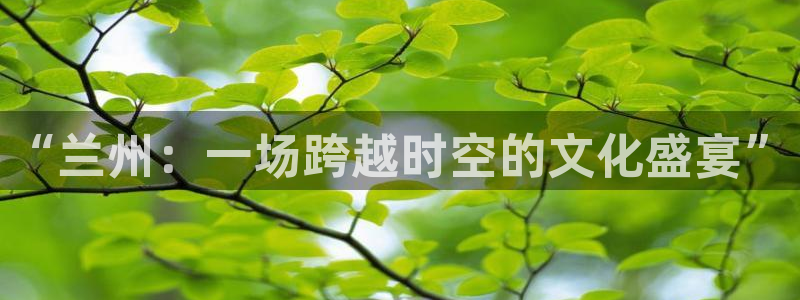 星空娱乐网站：“兰州：一场跨越时空的文化盛宴”