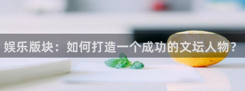 星空娱乐2929：娱乐版块：如何打造一个成功的文坛人物？